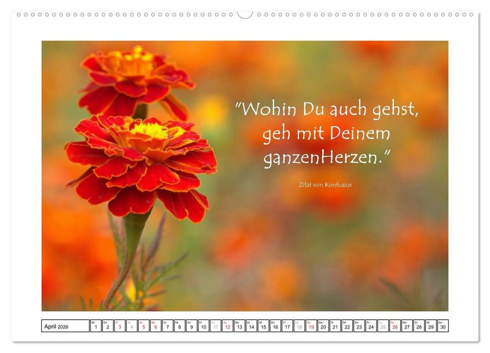 Zitate - Sammlung (CALVENDO Premium Wandkalender 2026)