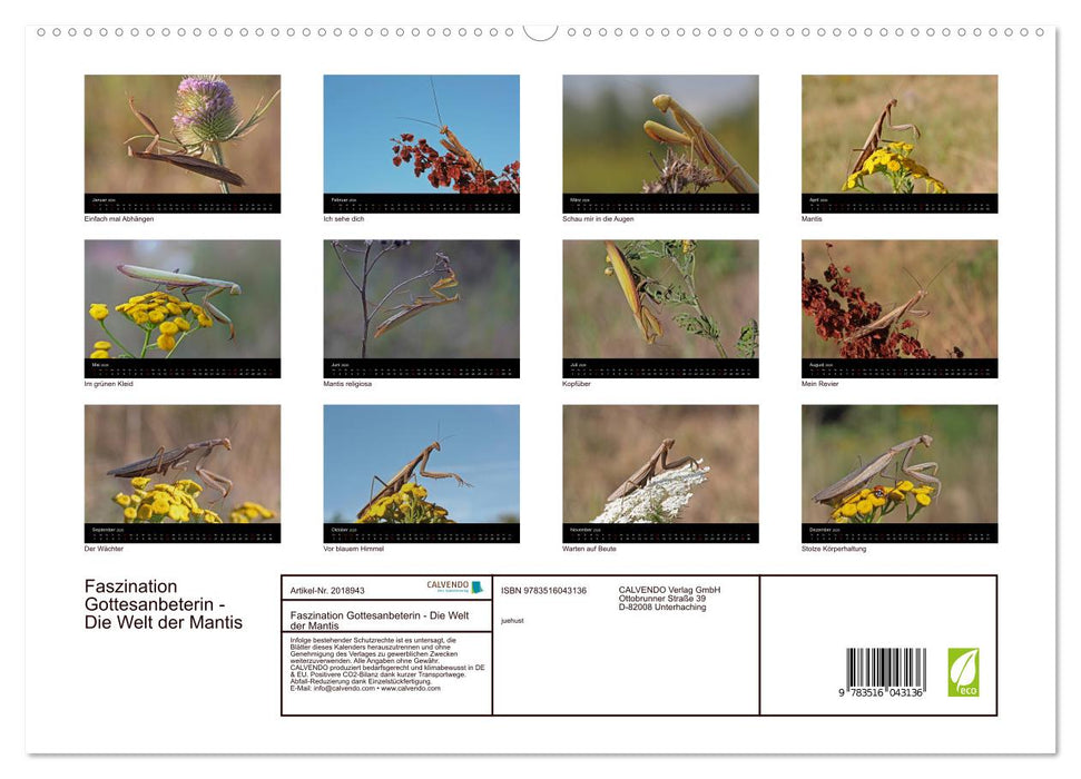 Faszination Gottesanbeterin - Die Welt der Mantis (CALVENDO Premium Wandkalender 2026)