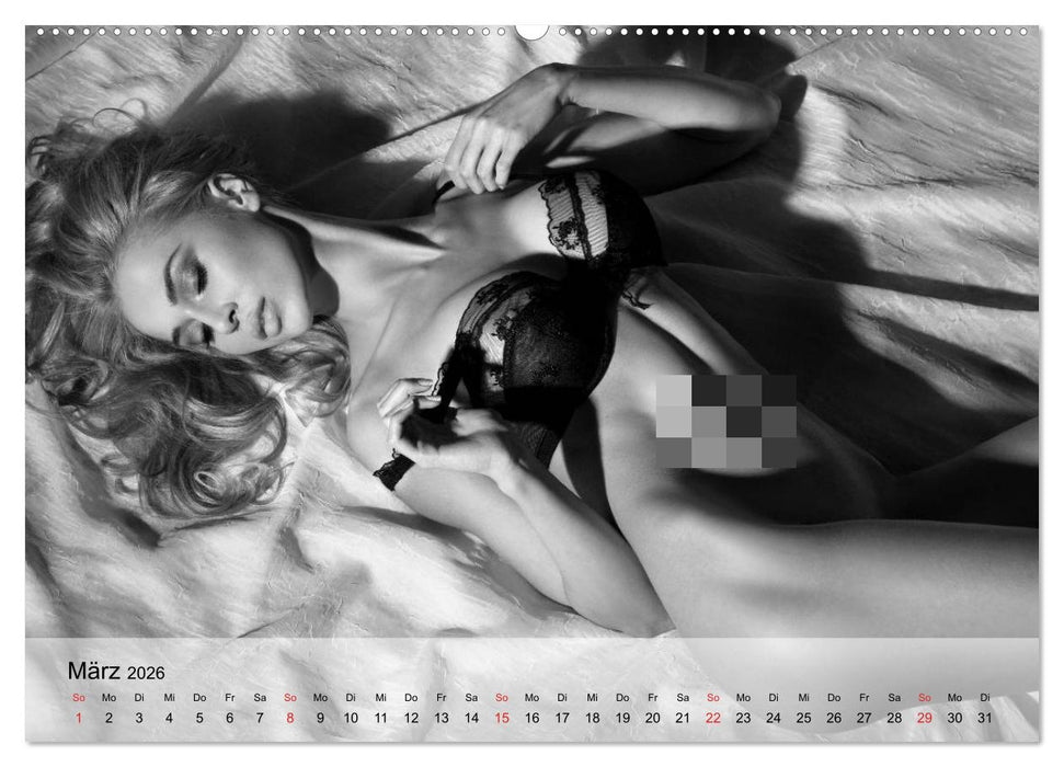 Pure Erotik. Emotionale Momente der Verführung (CALVENDO Premium Wandkalender 2026)