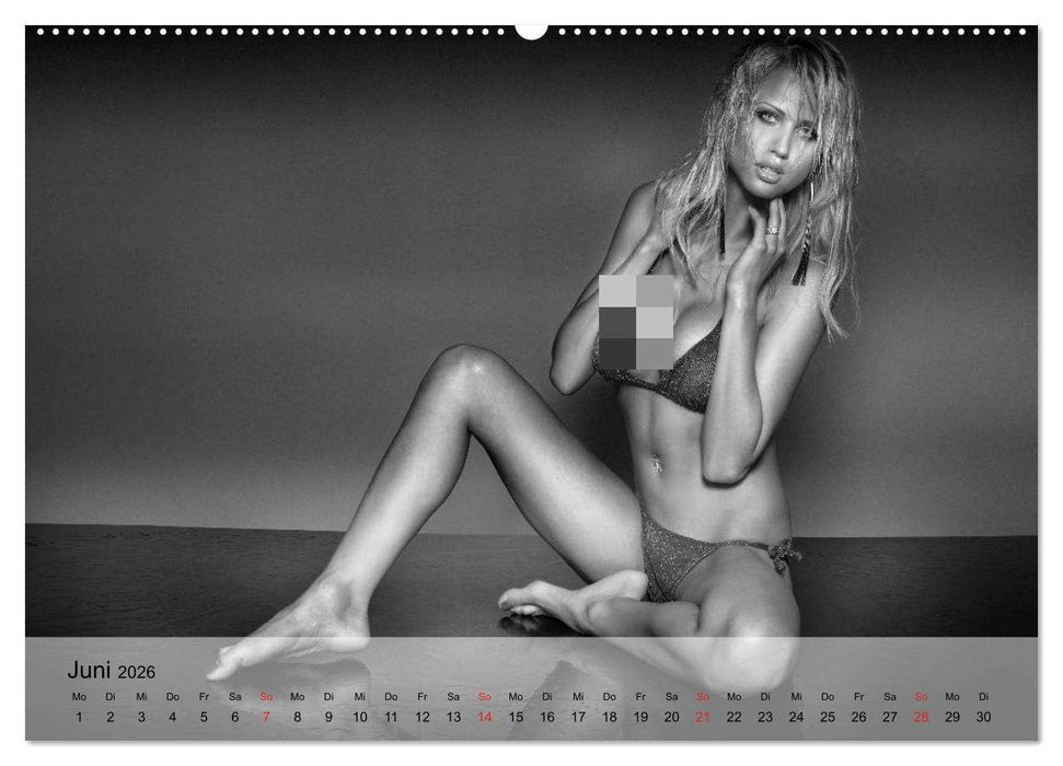 Pure Erotik. Emotionale Momente der Verführung (CALVENDO Premium Wandkalender 2026)