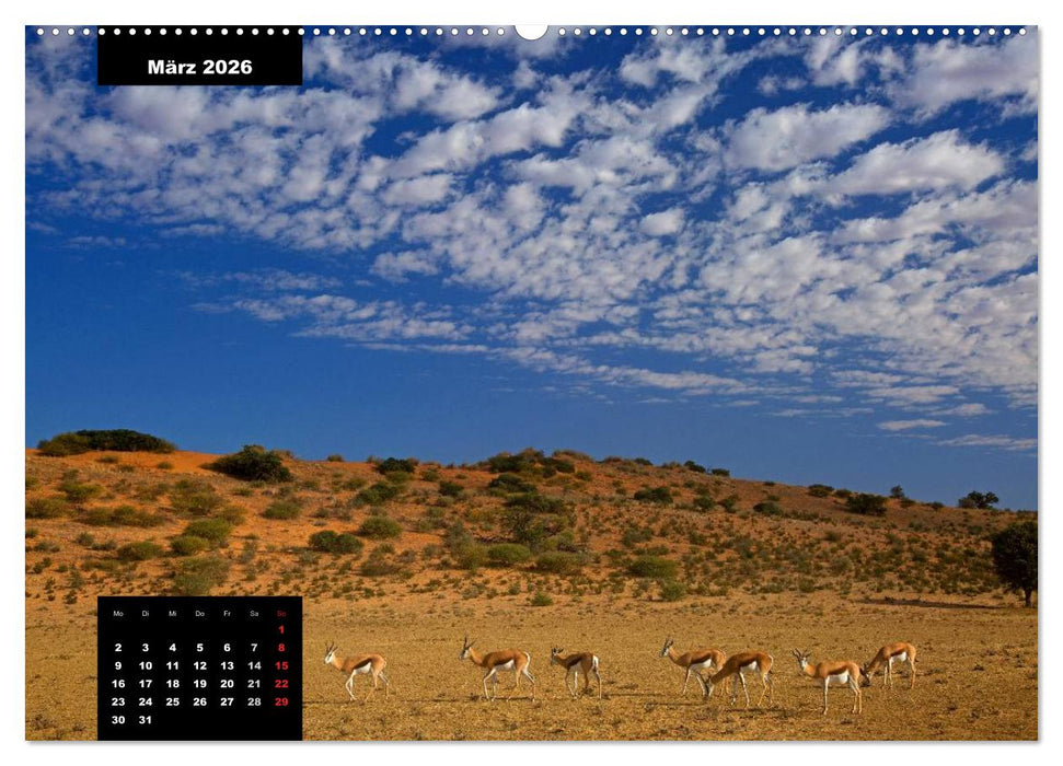 Blickpunkte des Südlichen Afrika (CALVENDO Premium Wandkalender 2026)