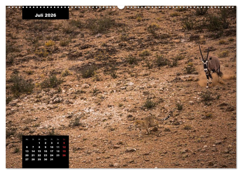 Blickpunkte des Südlichen Afrika (CALVENDO Premium Wandkalender 2026)