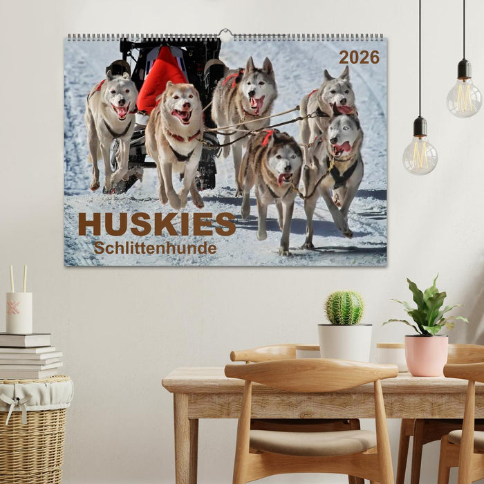 Huskies - Schlittenhunde (CALVENDO Wandkalender 2026)