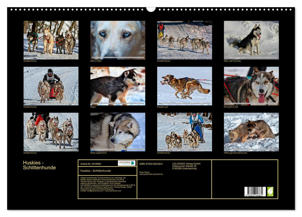 Huskies - Schlittenhunde (CALVENDO Wandkalender 2026)