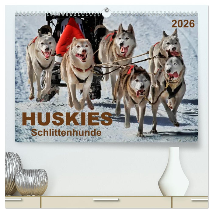 Huskies - Schlittenhunde (CALVENDO Premium Wandkalender 2026)