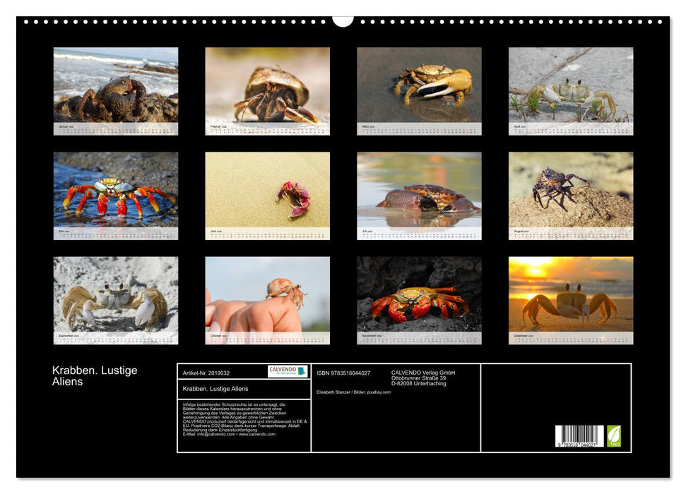 Krabben. Lustige Aliens (CALVENDO Wandkalender 2026)