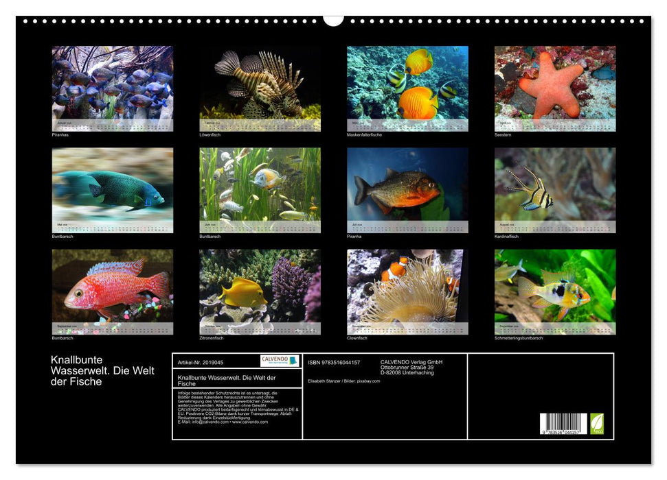 Knallbunte Wasserwelt. Die Welt der Fische (CALVENDO Wandkalender 2026)