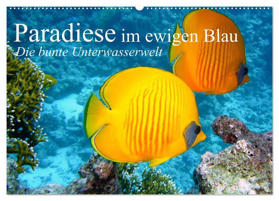 Paradiese im ewigen Blau. Die bunte Unterwasserwelt (CALVENDO Wandkalender 2026)