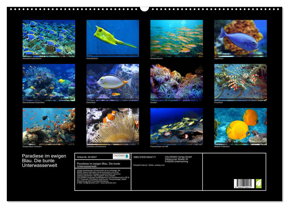 Paradiese im ewigen Blau. Die bunte Unterwasserwelt (CALVENDO Wandkalender 2026)