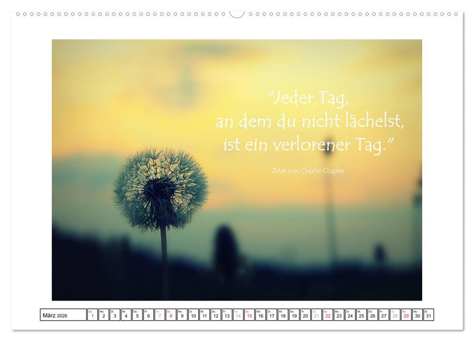 Zitate - Sammlung (CALVENDO Wandkalender 2026)