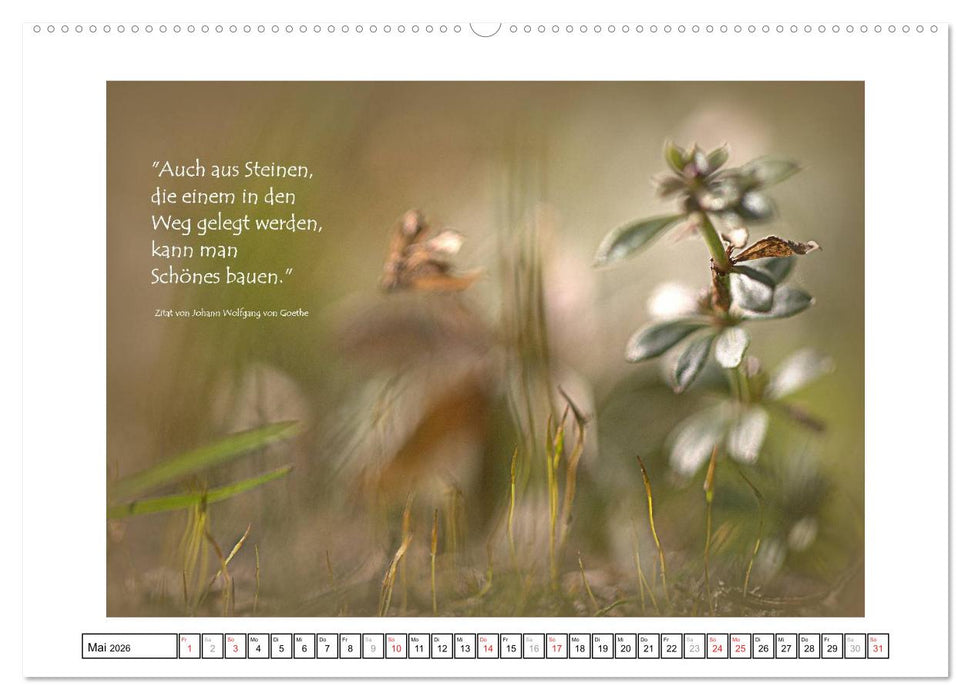 Zitate - Sammlung (CALVENDO Wandkalender 2026)