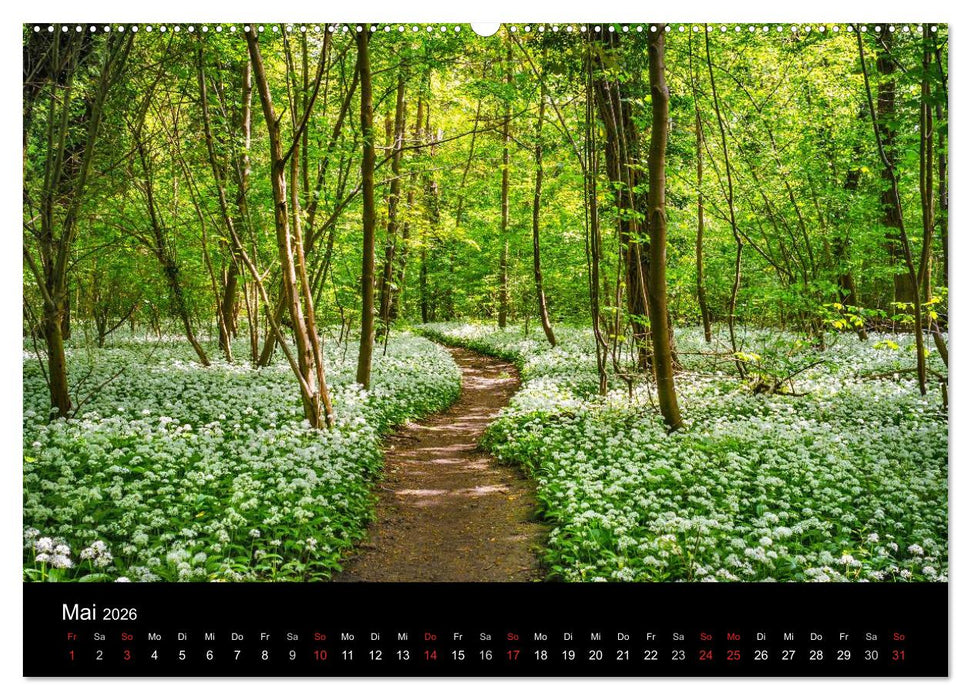 Mannheimer Waldpark (CALVENDO Premium Wandkalender 2026)