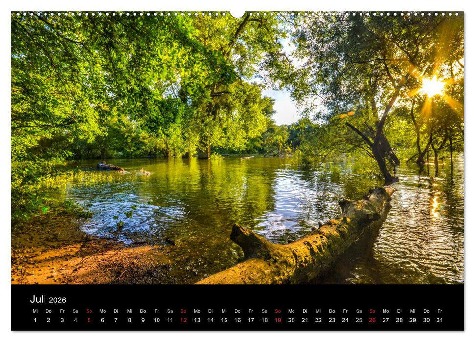Mannheimer Waldpark (CALVENDO Premium Wandkalender 2026)