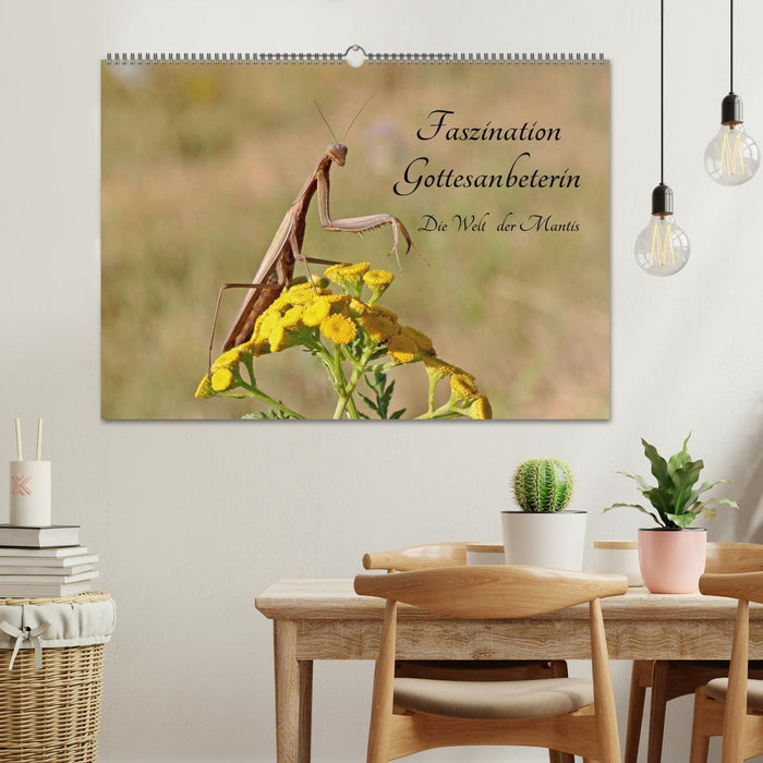 Faszination Gottesanbeterin - Die Welt der Mantis (CALVENDO Wandkalender 2026)