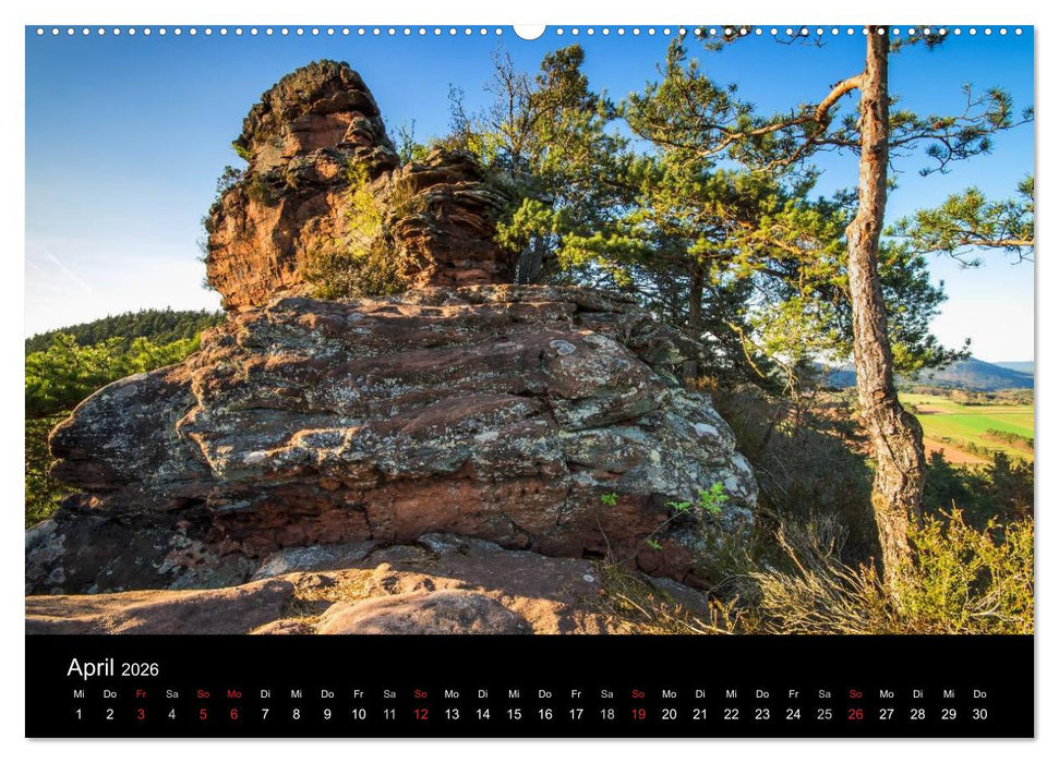 Mystischer Pfälzer Wald (CALVENDO Premium Wandkalender 2026)