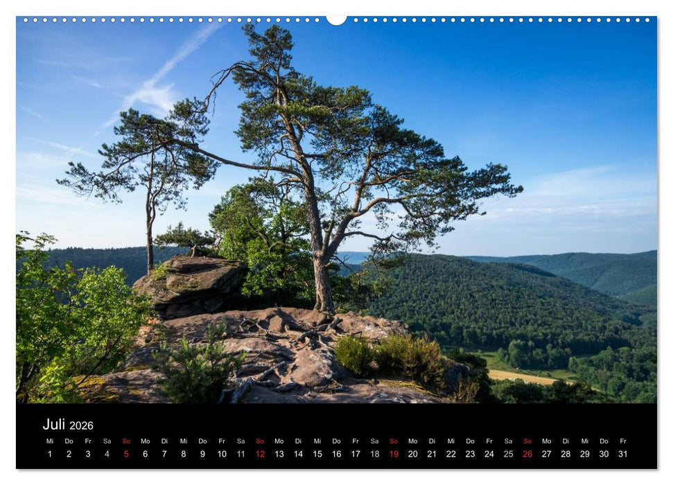 Mystischer Pfälzer Wald (CALVENDO Premium Wandkalender 2026)