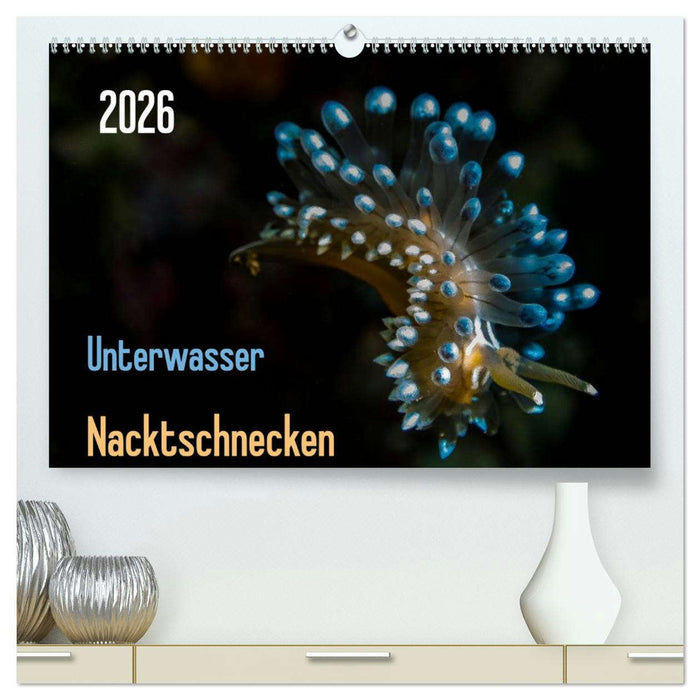 Unterwasser - Nacktschnecken 2026 (CALVENDO Premium Wandkalender 2026)