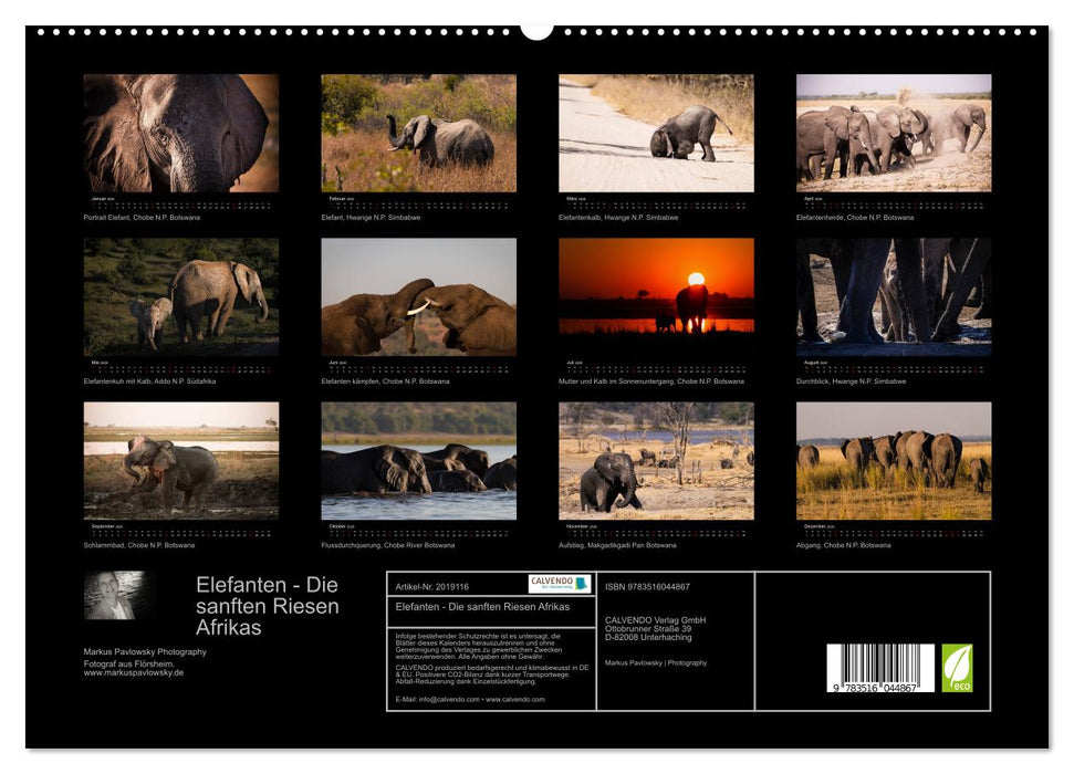 Elefanten - Die sanften Riesen Afrikas (CALVENDO Premium Wandkalender 2026)