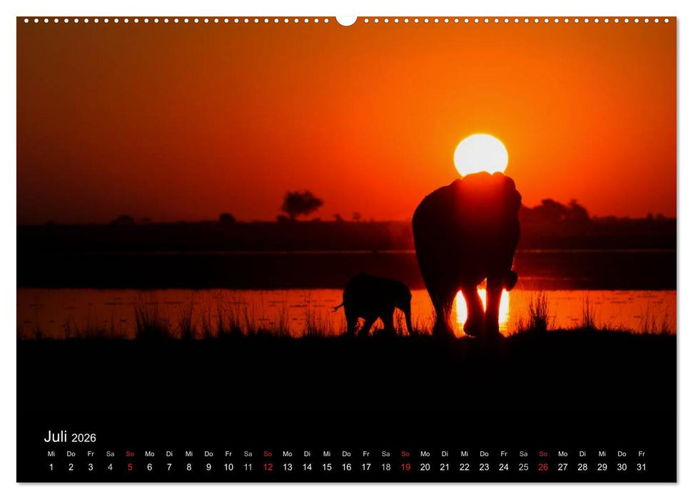 Elefanten - Die sanften Riesen Afrikas (CALVENDO Premium Wandkalender 2026)