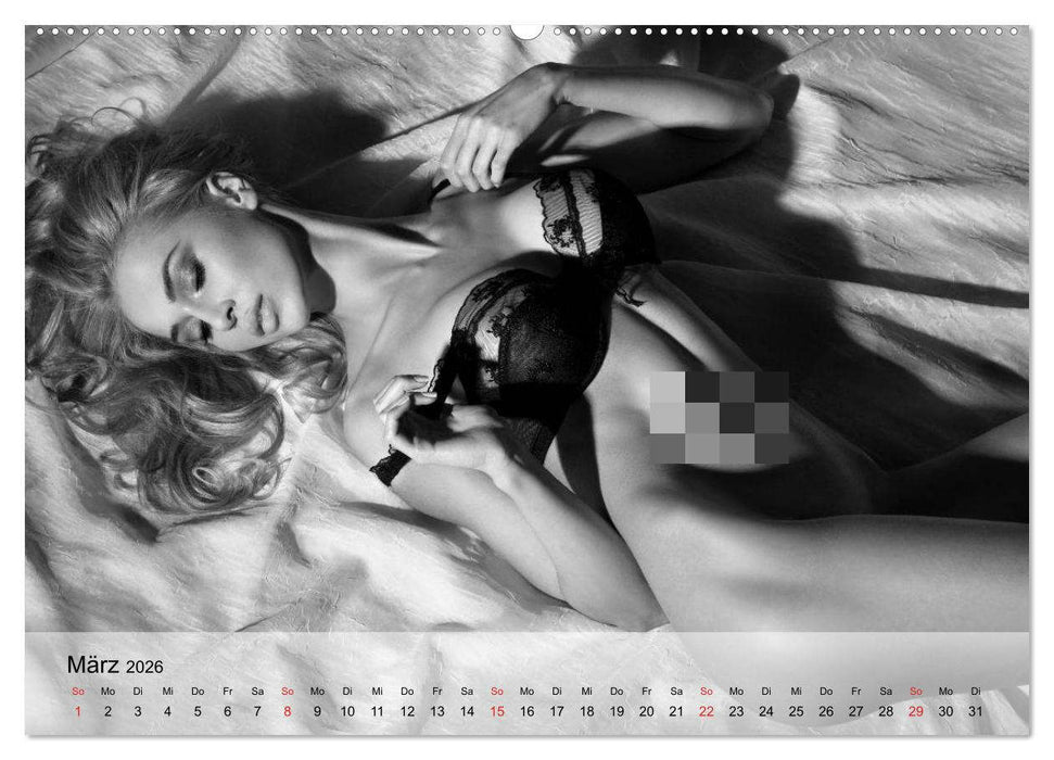 Pure Erotik. Emotionale Momente der Verführung (CALVENDO Wandkalender 2026)