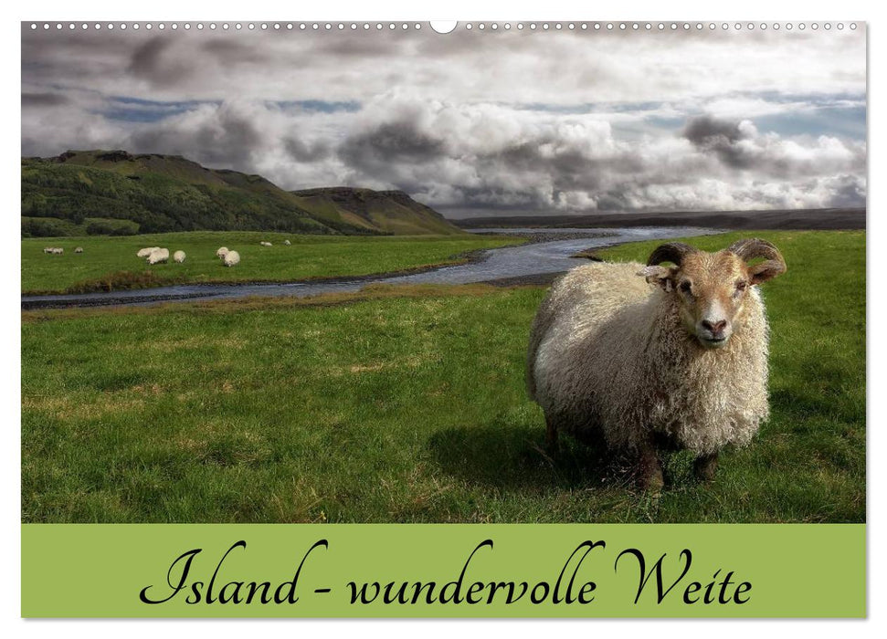 Island - wundervolle Weite (CALVENDO Wandkalender 2026)