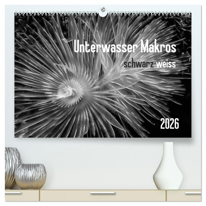 Unterwasser Makros - schwarz weiss 2026 (CALVENDO Premium Wandkalender 2026)