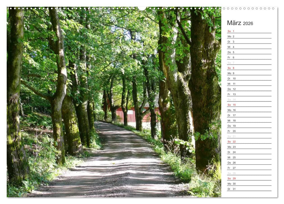 Unterwegs in Schweden (CALVENDO Premium Wandkalender 2026)