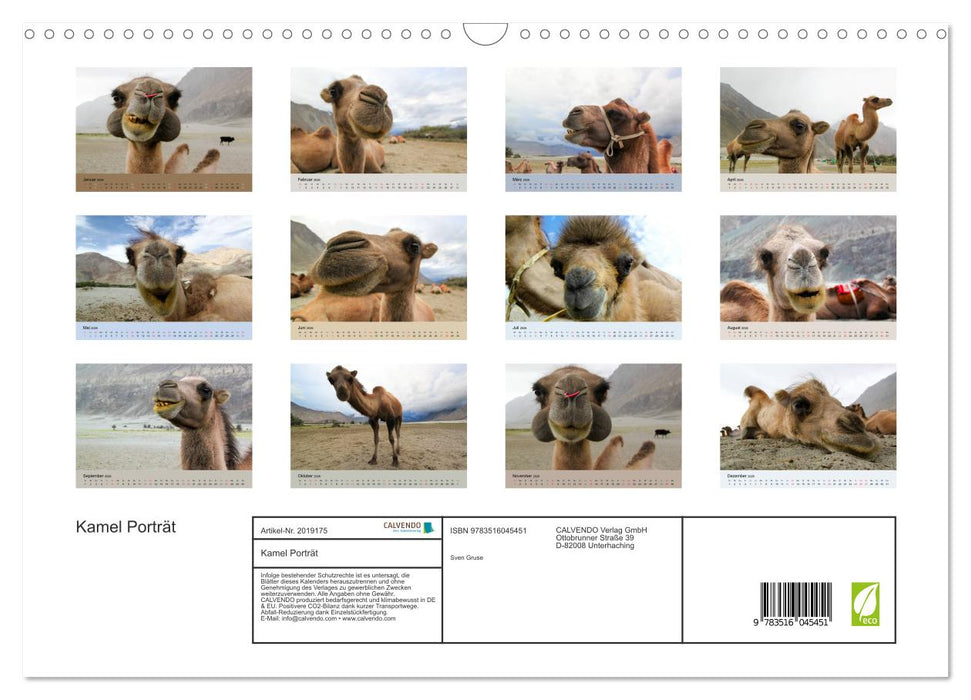 Kamel Porträt (CALVENDO Wandkalender 2026)