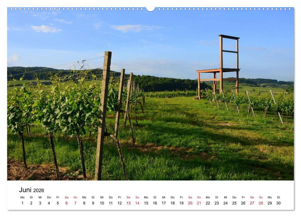 Impressionen vom Kaiserstuhl (CALVENDO Premium Wandkalender 2026)