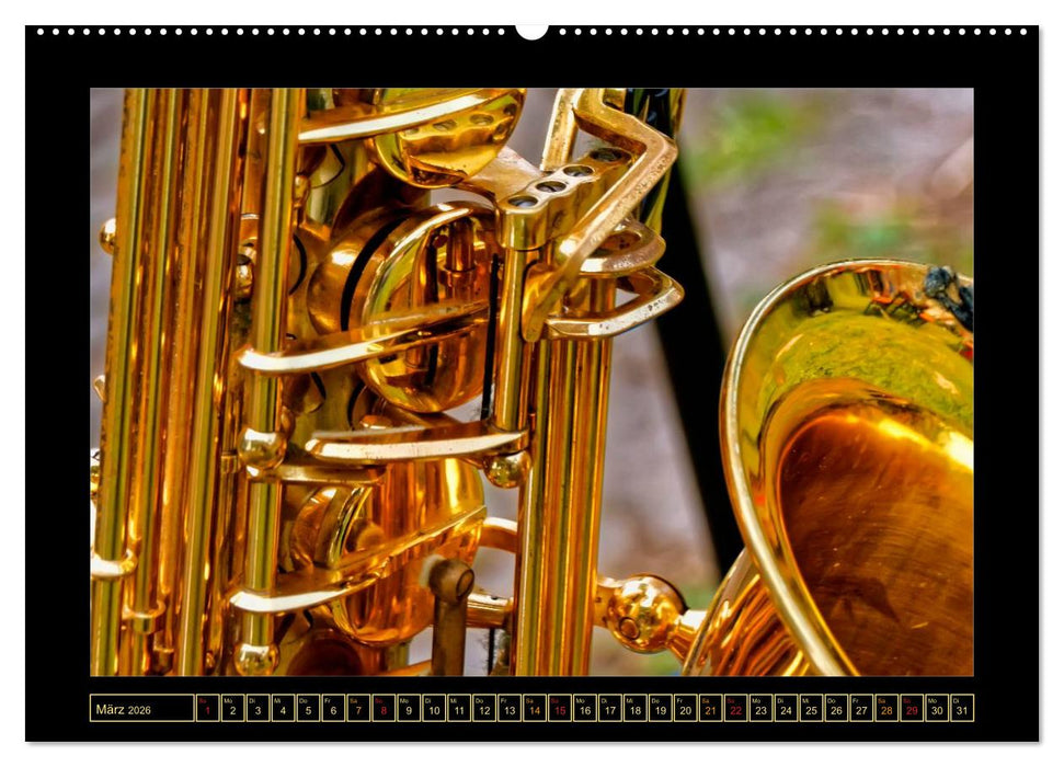 Saxophon - schön und sexy (CALVENDO Premium Wandkalender 2026)