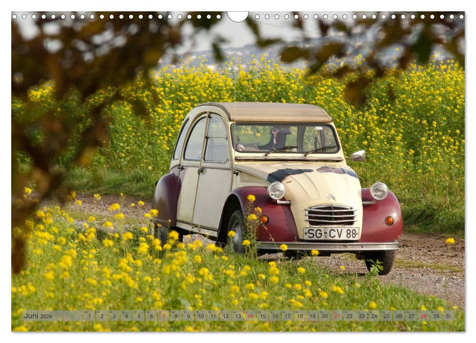 Kultauto Ente Citroën 2CV (CALVENDO Wandkalender 2026)