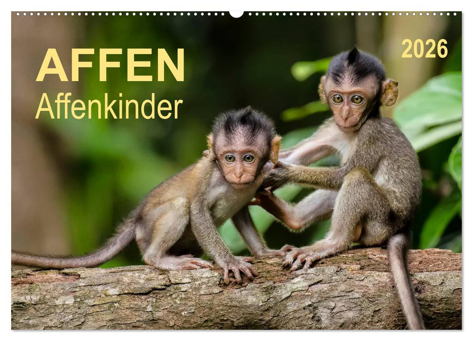 Affen - Affenkinder (CALVENDO Wandkalender 2026)