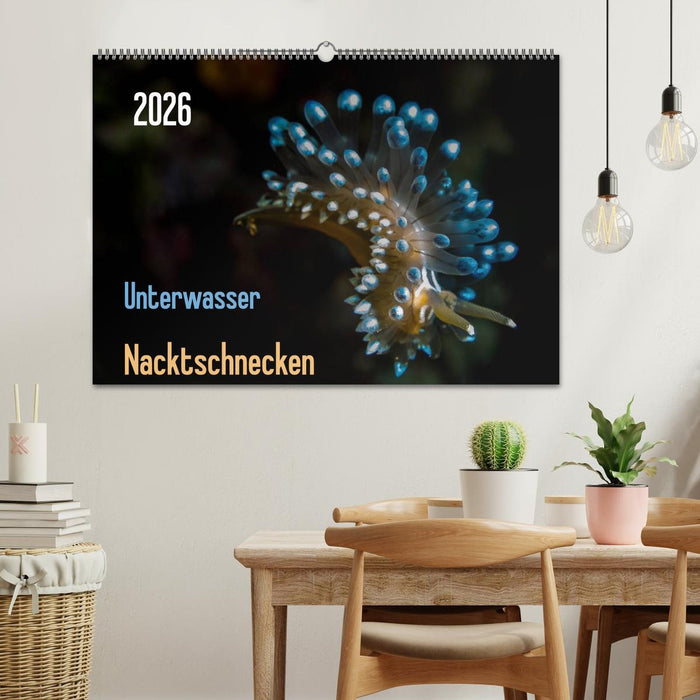 Unterwasser - Nacktschnecken 2026 (CALVENDO Wandkalender 2026)