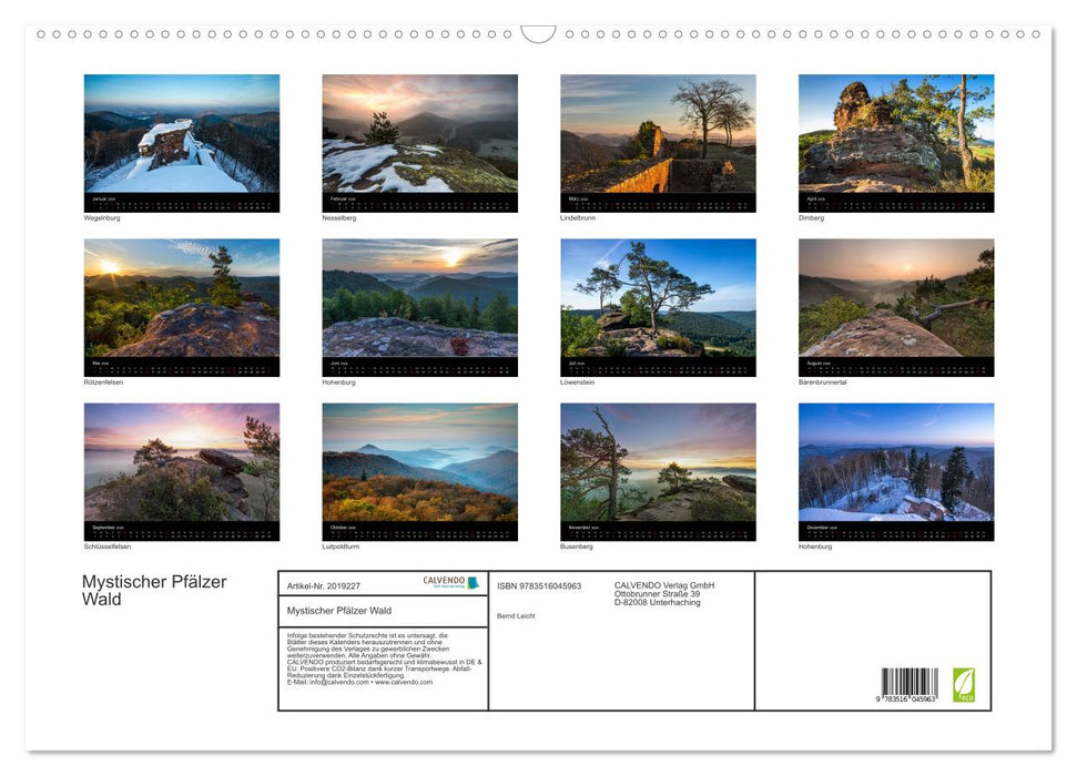 Mystischer Pfälzer Wald (CALVENDO Wandkalender 2026)