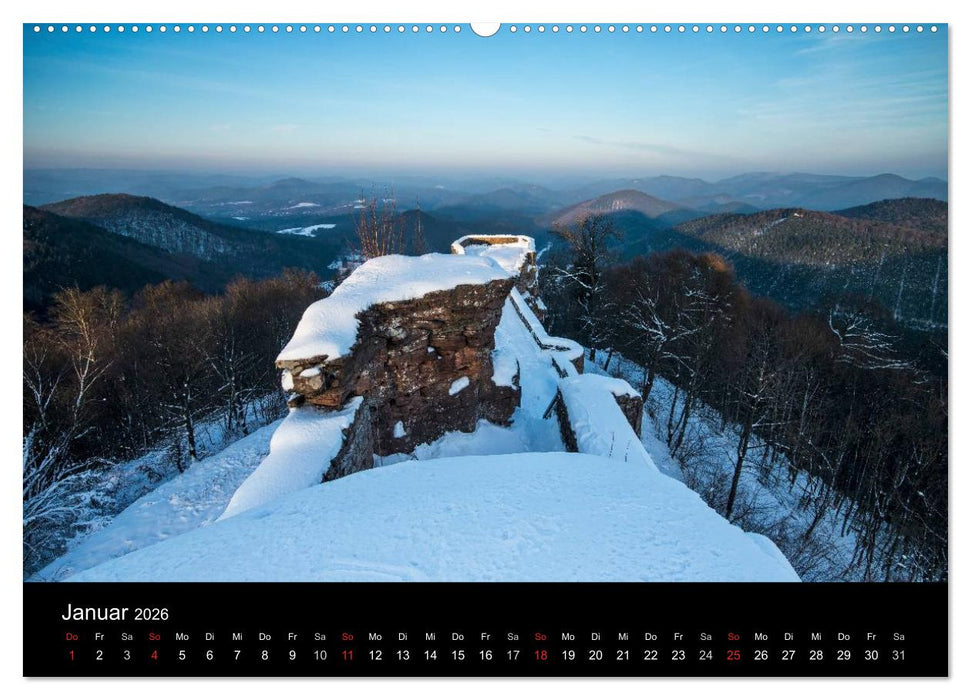 Mystischer Pfälzer Wald (CALVENDO Wandkalender 2026)