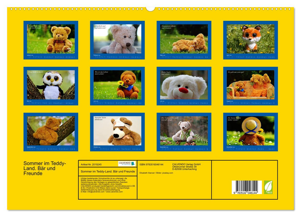 Sommer im Teddy-Land. Bär und Freunde (CALVENDO Premium Wandkalender 2026)