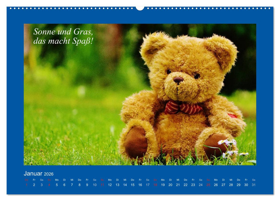 Sommer im Teddy-Land. Bär und Freunde (CALVENDO Premium Wandkalender 2026)