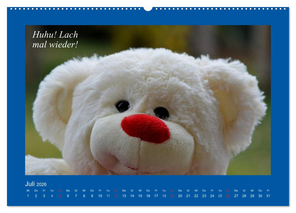 Sommer im Teddy-Land. Bär und Freunde (CALVENDO Premium Wandkalender 2026)