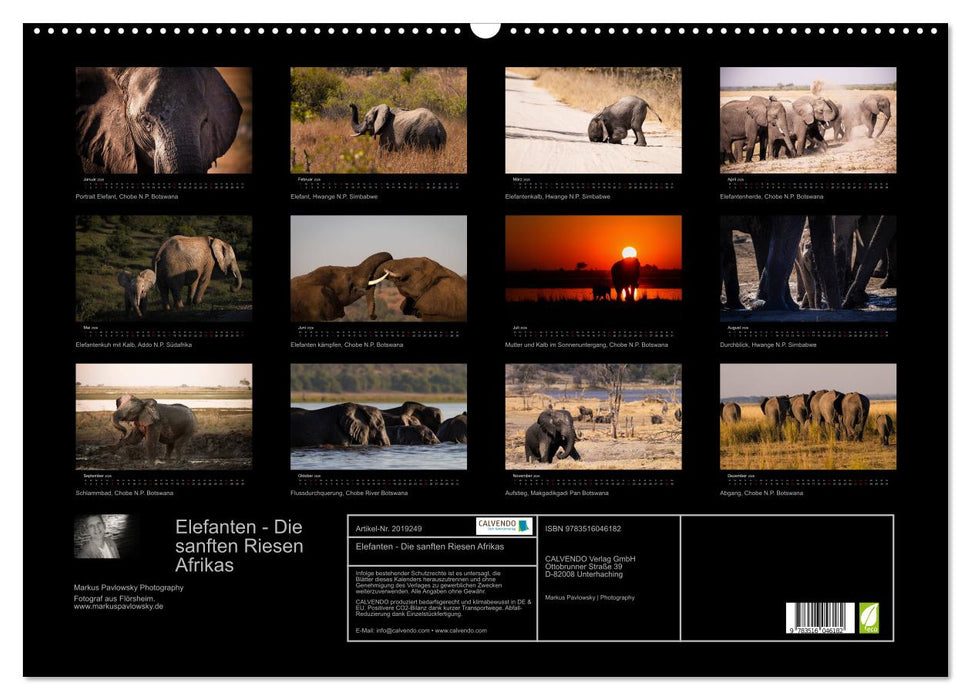 Elefanten - Die sanften Riesen Afrikas (CALVENDO Wandkalender 2026)