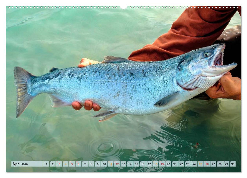 Ruhig werden - Angeln (CALVENDO Premium Wandkalender 2026)