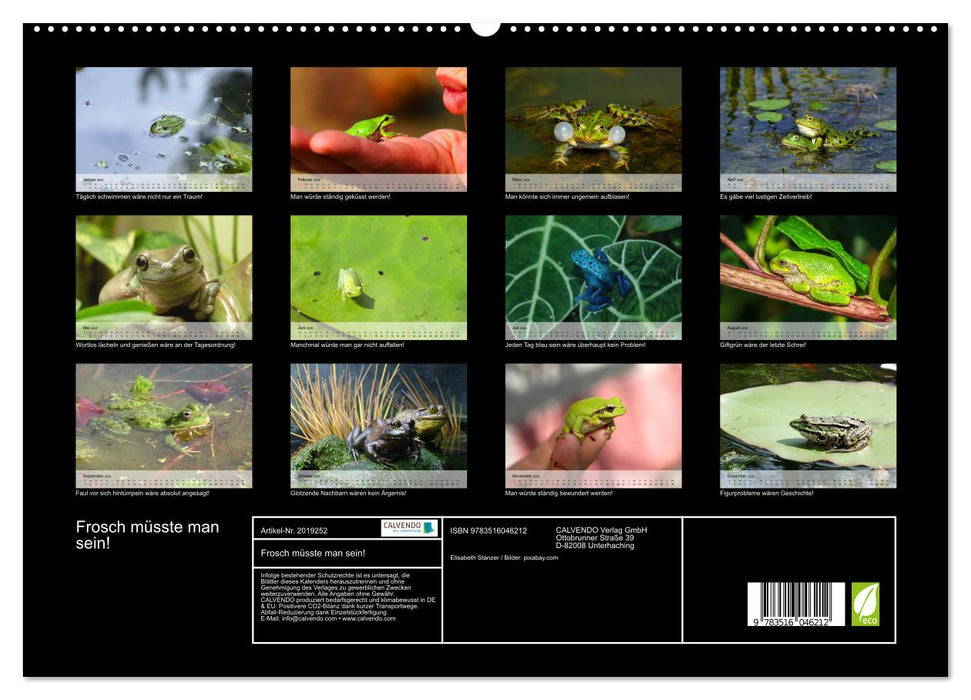 Frosch müsste man sein! (CALVENDO Premium Wandkalender 2026)