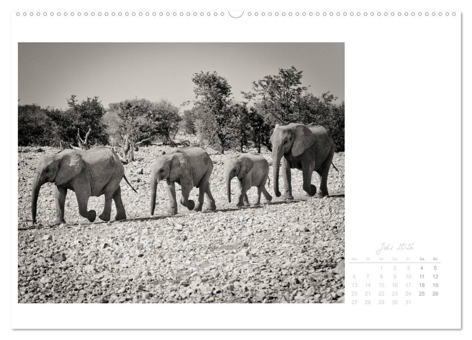 Elefanten in Etosha (CALVENDO Premium Wandkalender 2026)