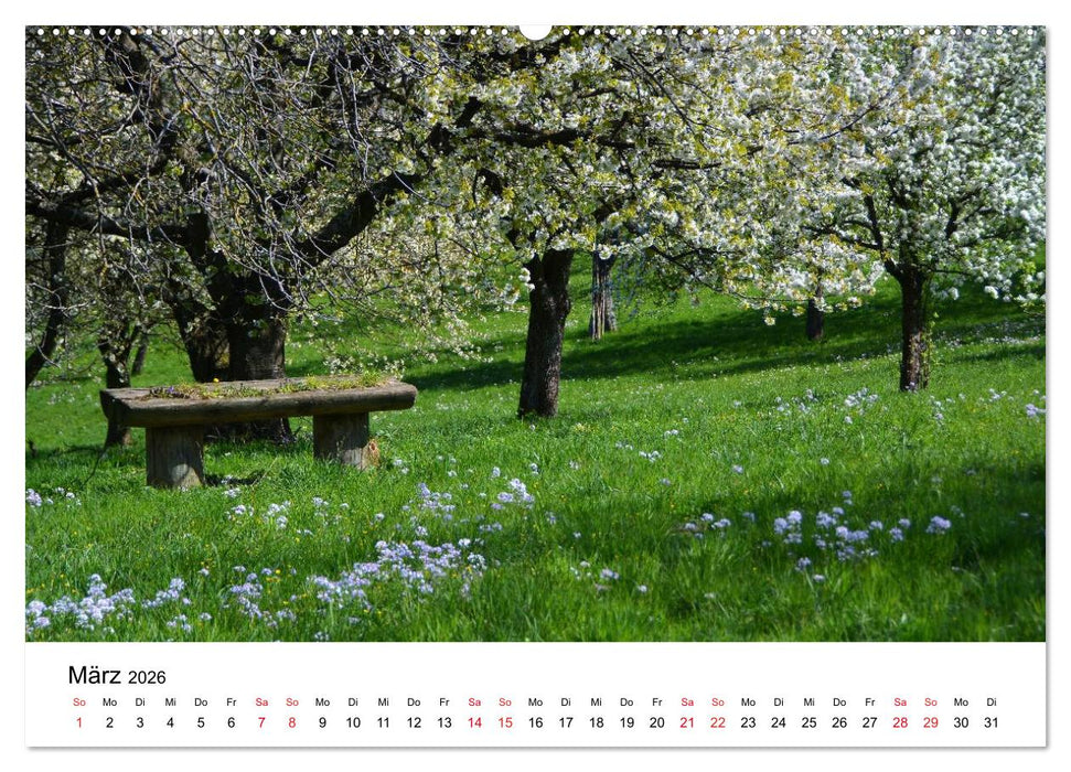 SCHWÄBISCH-BADISCHE LANDSCHAFTEN (CALVENDO Premium Wandkalender 2026)