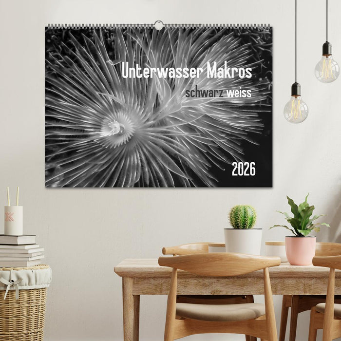 Unterwasser Makros - schwarz weiss 2026 (CALVENDO Wandkalender 2026)