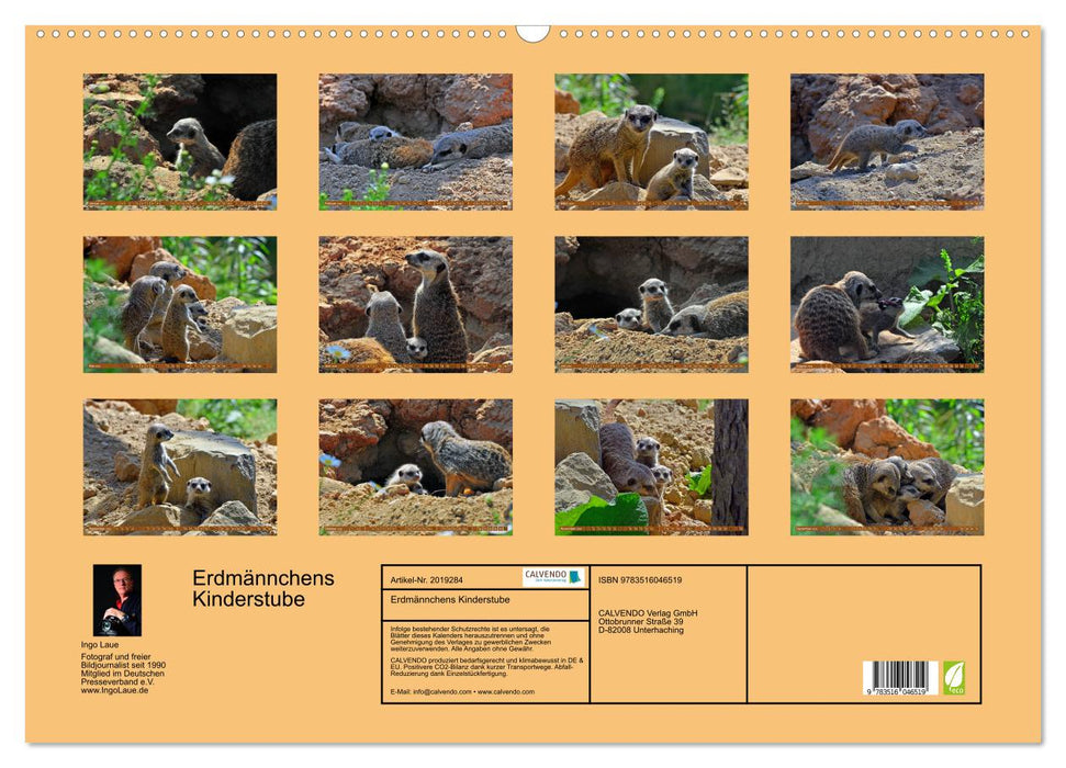 Erdmännchens Kinderstube (CALVENDO Wandkalender 2026)