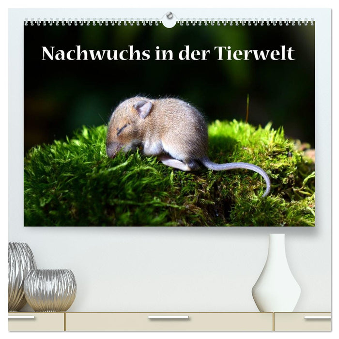 Nachwuchs in der Tierwelt (CALVENDO Premium Wandkalender 2026)