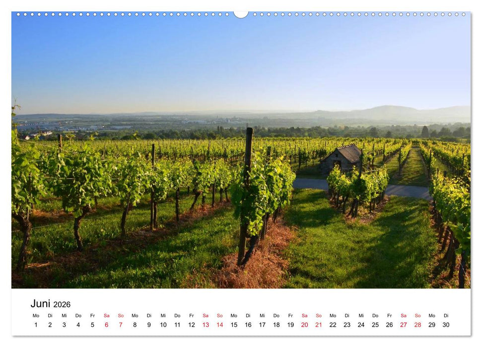 Zauberhaftes Remstal (CALVENDO Premium Wandkalender 2026)