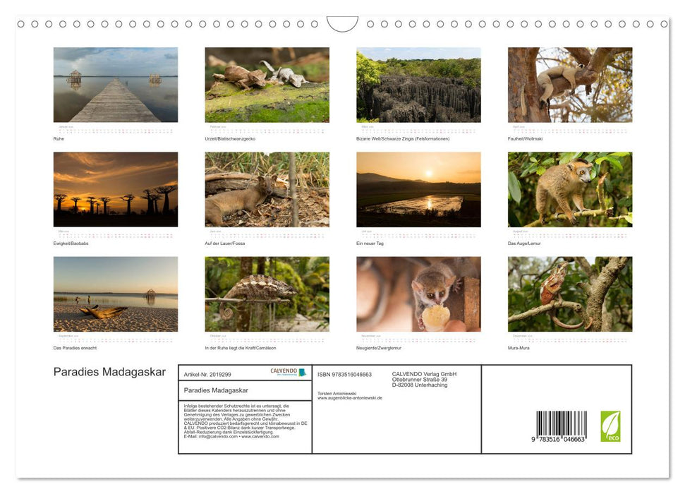 Paradies Madagaskar (CALVENDO Wandkalender 2026)