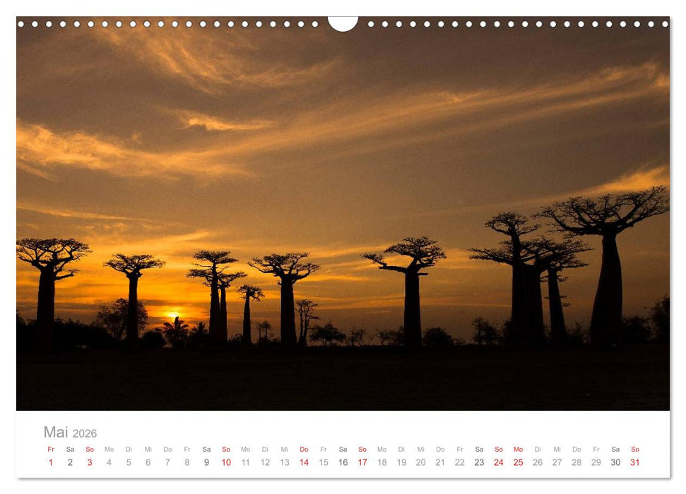 Paradies Madagaskar (CALVENDO Wandkalender 2026)