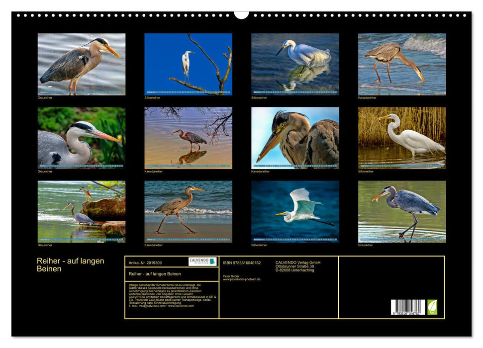 Reiher - auf langen Beinen (CALVENDO Wandkalender 2026)